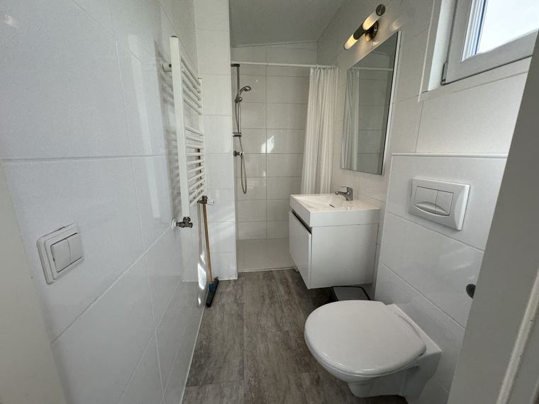 Badkamer met inloopdouche, wastafelmeubel, toilet en designradiator